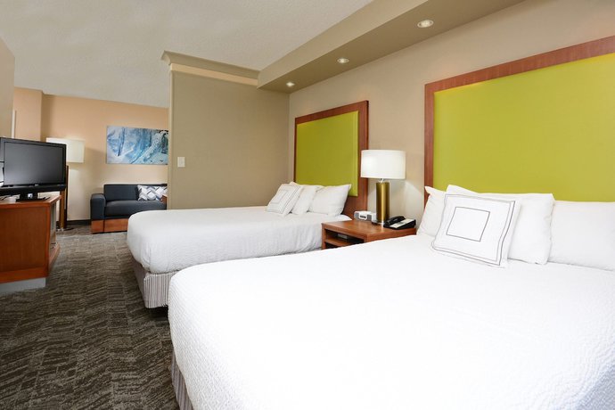 Imagen de la habitación del Hotel Springhill Suites By Marriott Lynchburg Airport/university Area. Foto 8