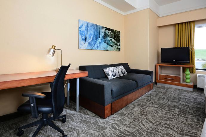 Imagen de la habitación del Hotel Springhill Suites By Marriott Lynchburg Airport/university Area. Foto 11