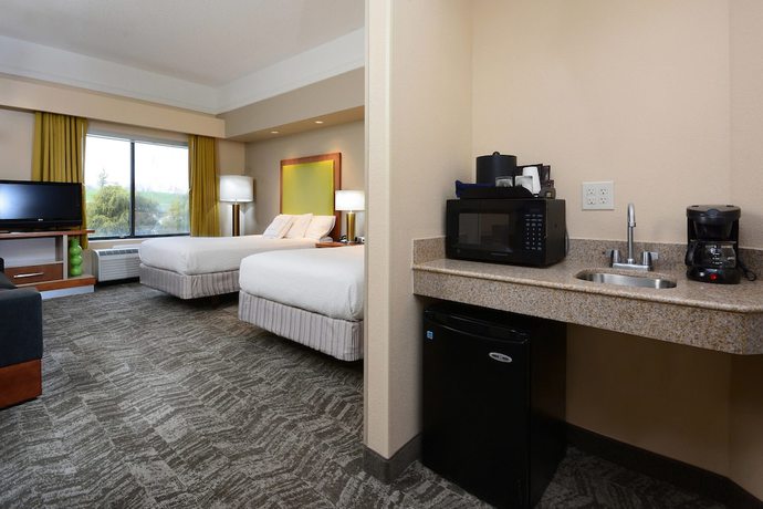 Imagen de la habitación del Hotel Springhill Suites By Marriott Lynchburg Airport/university Area. Foto 12