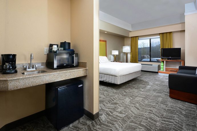 Imagen de la habitación del Hotel Springhill Suites By Marriott Lynchburg Airport/university Area. Foto 13
