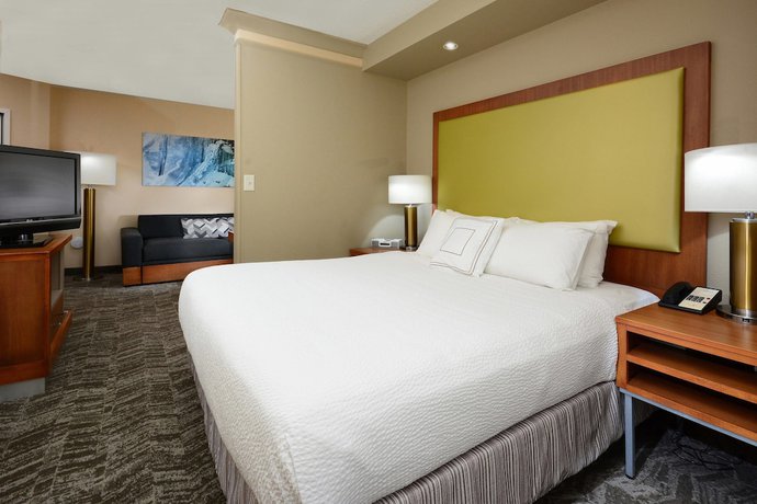 Imagen de la habitación del Hotel Springhill Suites By Marriott Lynchburg Airport/university Area. Foto 17