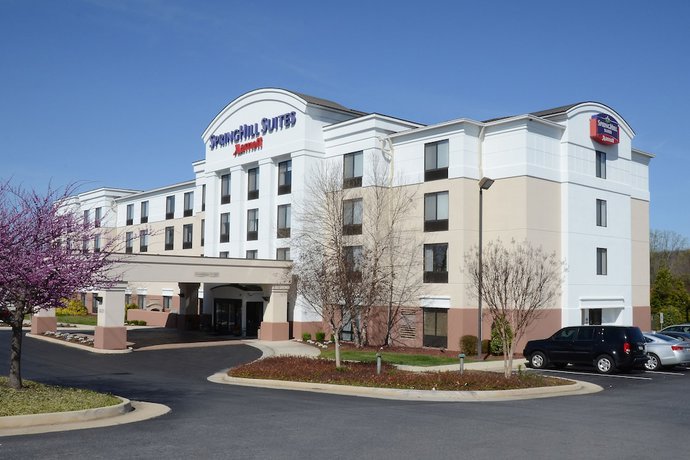 Imagen general del Hotel Springhill Suites By Marriott Lynchburg Airport/university Area. Foto 1