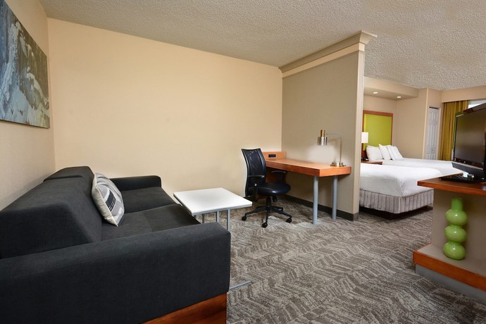 Imagen de la habitación del Hotel Springhill Suites By Marriott Lynchburg Airport/university Area. Foto 19