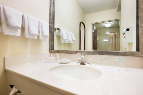 Imagen de la habitación del Hotel Springhill Suites By Marriott Minneapolis Eden Prairie. Foto 9