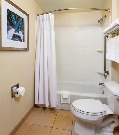 Imagen de la habitación del Hotel Springhill Suites By Marriott Modesto. Foto 13