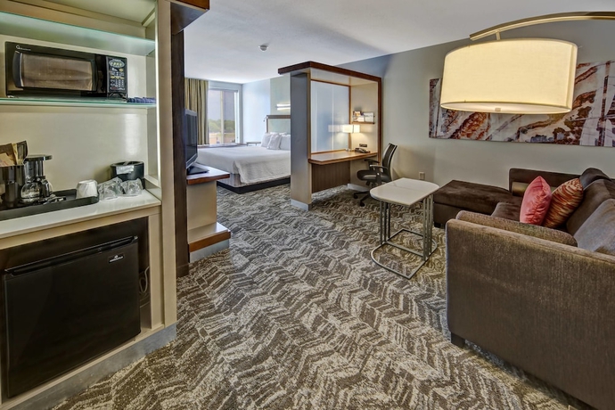 Imagen de la habitación del Hotel Springhill Suites By Marriott Moore. Foto 12