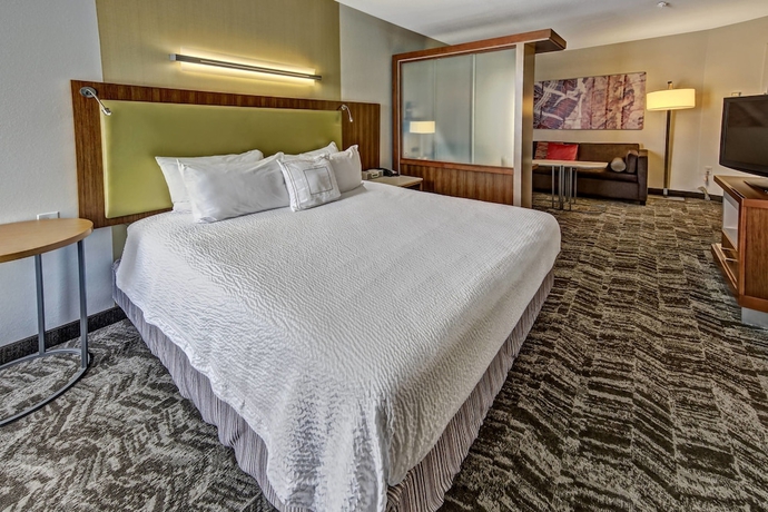 Imagen de la habitación del Hotel Springhill Suites By Marriott Moore. Foto 15