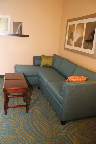 Imagen de la habitación del Hotel Springhill Suites By Marriott Morgantown. Foto 8