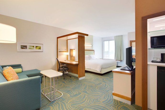 Imagen de la habitación del Hotel Springhill Suites By Marriott Murray. Foto 7