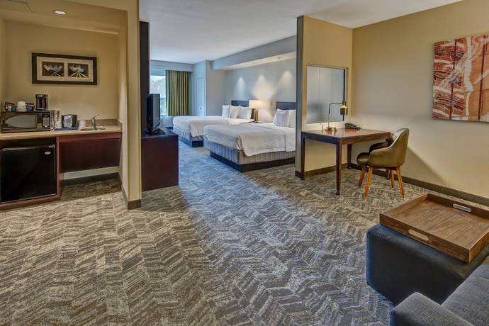 Imagen de la habitación del Hotel Springhill Suites By Marriott New Bern. Foto 8