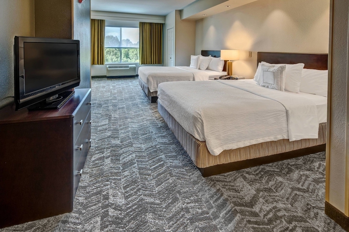 Imagen de la habitación del Hotel Springhill Suites By Marriott New Bern. Foto 11