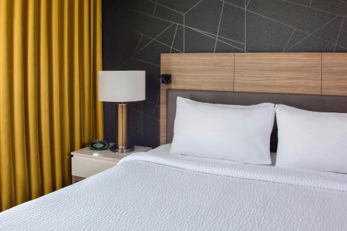 Imagen de la habitación del Hotel Springhill Suites By Marriott New Orleans Warehouse Arts District. Foto 17