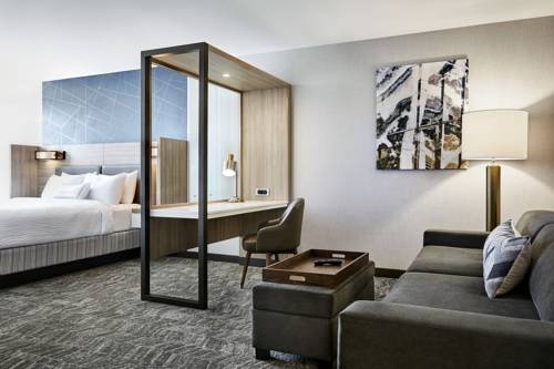 Imagen de la habitación del Hotel Springhill Suites By Marriott Newark Downtown. Foto 3