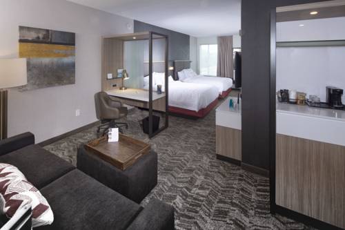 Imagen de la habitación del Hotel Springhill Suites By Marriott Newark Downtown. Foto 4