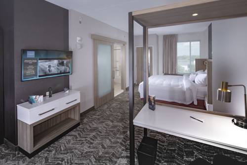 Imagen de la habitación del Hotel Springhill Suites By Marriott Newark Downtown. Foto 6