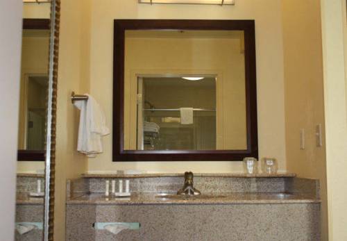 Imagen de la habitación del Hotel Springhill Suites By Marriott Oklahoma City Airport. Foto 9