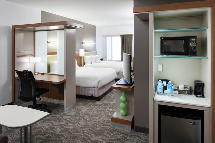 Imagen general del Hotel Springhill Suites By Marriott Orlando At Seaworld. Foto 1