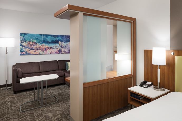 Imagen de la habitación del Hotel Springhill Suites By Marriott Orlando At Seaworld. Foto 4