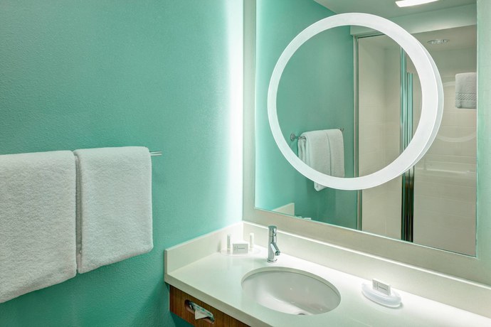 Imagen de la habitación del Hotel Springhill Suites By Marriott Orlando At Seaworld. Foto 6