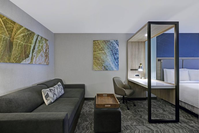 Imagen de la habitación del Hotel Springhill Suites By Marriott Palm Desert. Foto 3