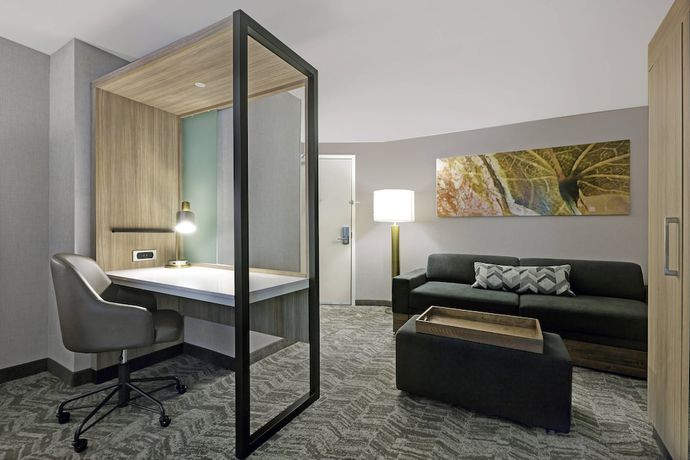 Imagen de la habitación del Hotel Springhill Suites By Marriott Palm Desert. Foto 13