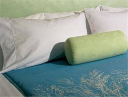 Imagen de la habitación del Hotel Springhill Suites By Marriott Philadelphia Langhorne. Foto 7