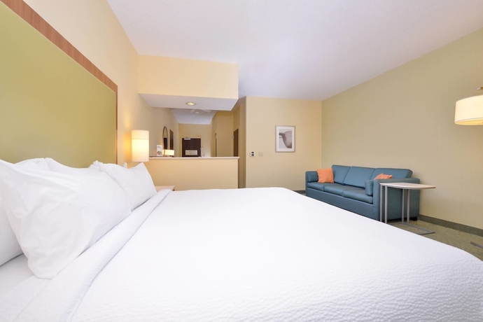 Imagen de la habitación del Hotel Springhill Suites By Marriott Pinehurst Southern Pines. Foto 7