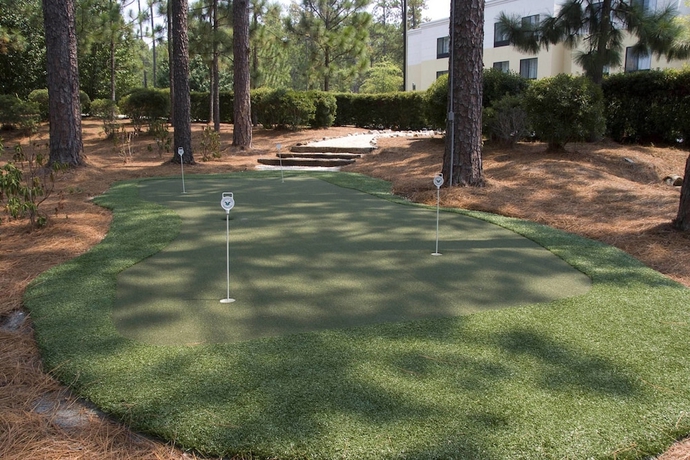 Imagen general del Hotel Springhill Suites By Marriott Pinehurst Southern Pines. Foto 3