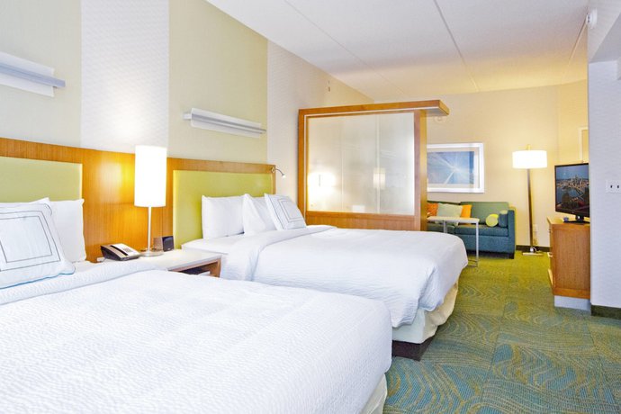 Imagen de la habitación del Hotel Springhill Suites By Marriott Pittsburgh Mt. Lebanon. Foto 8