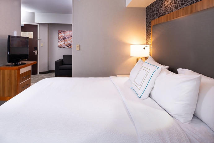 Imagen de la habitación del Hotel Springhill Suites By Marriott Pittsburgh North Shore. Foto 8