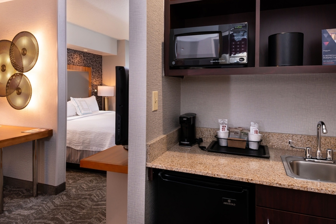 Imagen de la habitación del Hotel Springhill Suites By Marriott Pittsburgh North Shore. Foto 11