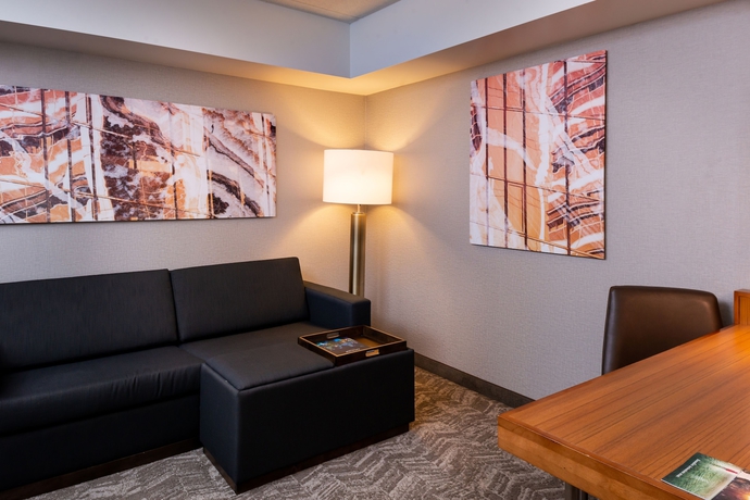 Imagen de la habitación del Hotel Springhill Suites By Marriott Pittsburgh North Shore. Foto 12