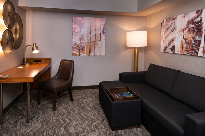 Imagen de la habitación del Hotel Springhill Suites By Marriott Pittsburgh North Shore. Foto 13