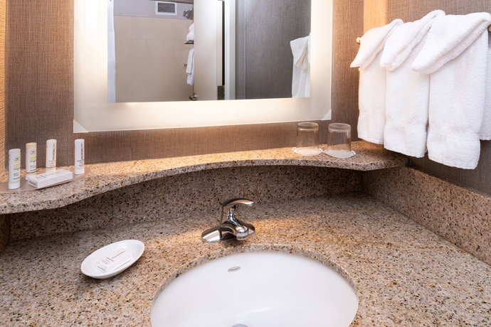Imagen de la habitación del Hotel Springhill Suites By Marriott Pittsburgh North Shore. Foto 14