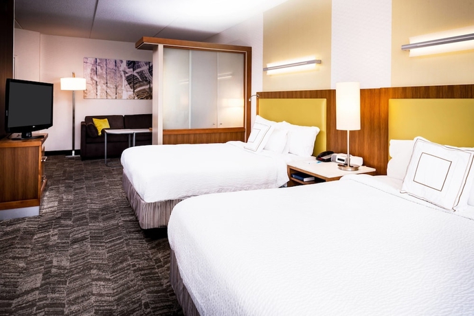 Imagen de la habitación del Hotel Springhill Suites By Marriott Pittsburgh Southside Works. Foto 7