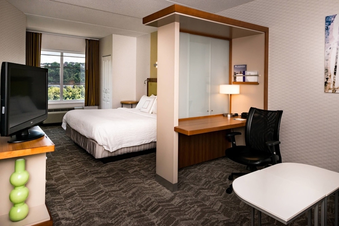 Imagen de la habitación del Hotel Springhill Suites By Marriott Pittsburgh Southside Works. Foto 9