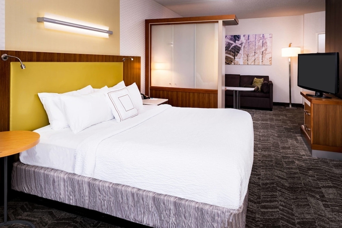Imagen de la habitación del Hotel Springhill Suites By Marriott Pittsburgh Southside Works. Foto 10