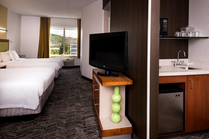 Imagen de la habitación del Hotel Springhill Suites By Marriott Pittsburgh Southside Works. Foto 12