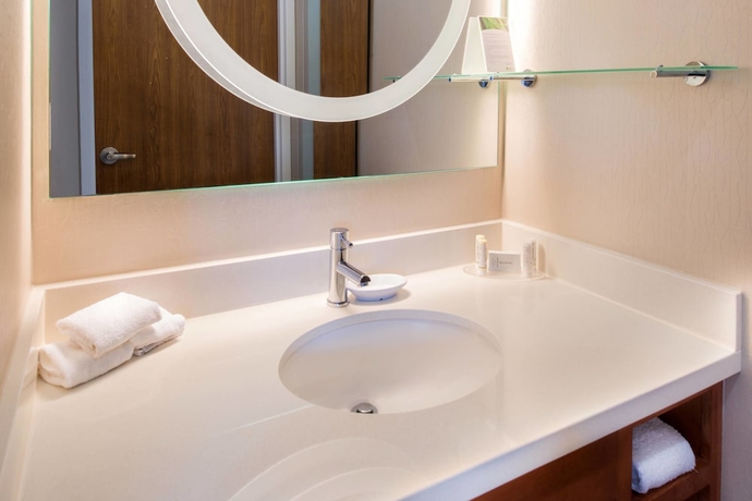 Imagen de la habitación del Hotel Springhill Suites By Marriott Pittsburgh Southside Works. Foto 14