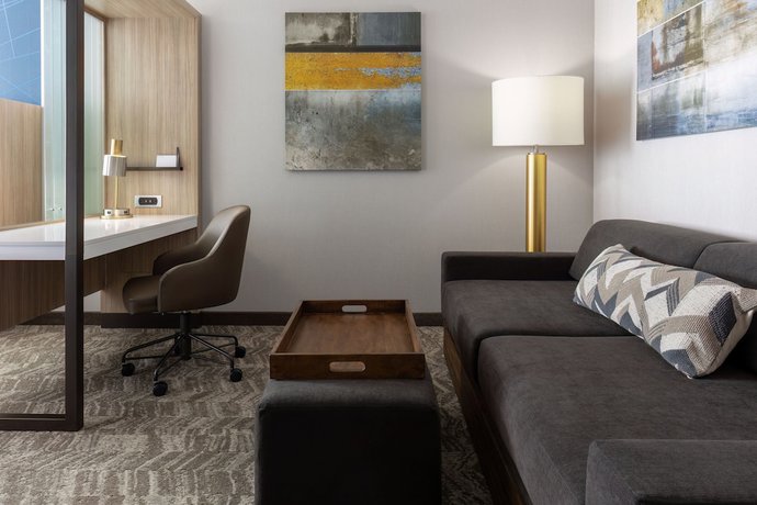 Imagen de la habitación del Hotel Springhill Suites By Marriott Pleasanton. Foto 4