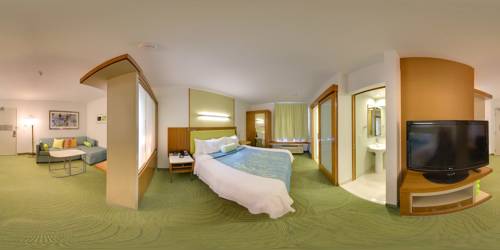 Imagen de la habitación del Hotel Springhill Suites By Marriott Provo. Foto 6