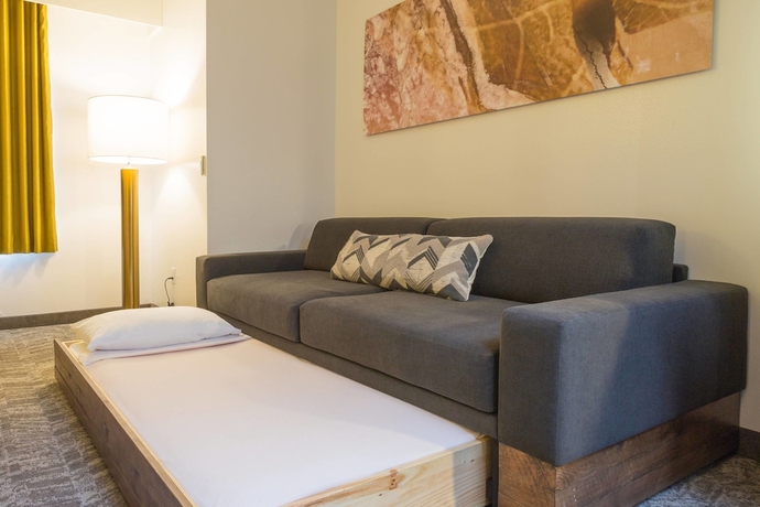 Imagen de la habitación del Hotel Springhill Suites By Marriott Quakertown. Foto 11