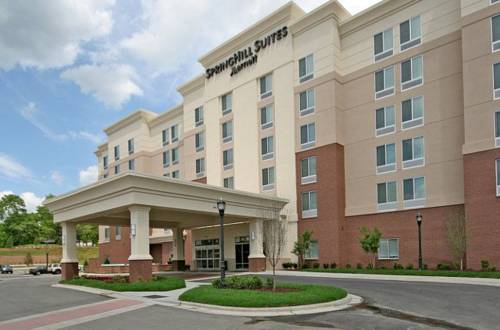 Imagen general del Hotel Springhill Suites By Marriott Raleigh Cary. Foto 1