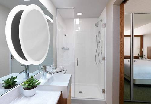 Imagen de la habitación del Hotel Springhill Suites By Marriott Raleigh Cary. Foto 4