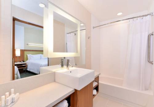 Imagen de la habitación del Hotel Springhill Suites By Marriott Raleigh Cary. Foto 5