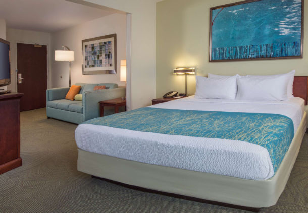 Imagen de la habitación del Hotel Springhill Suites By Marriott Raleigh-durham Airport/research Triangle Park. Foto 9