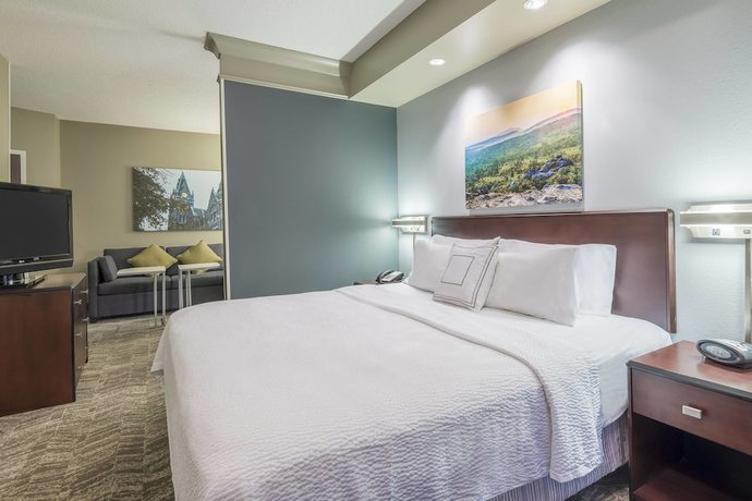 Imagen de la habitación del Hotel Springhill Suites By Marriott Richmond Northwest. Foto 11
