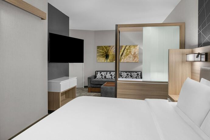Imagen general del Hotel Springhill Suites By Marriott Riverside Redlands. Foto 12