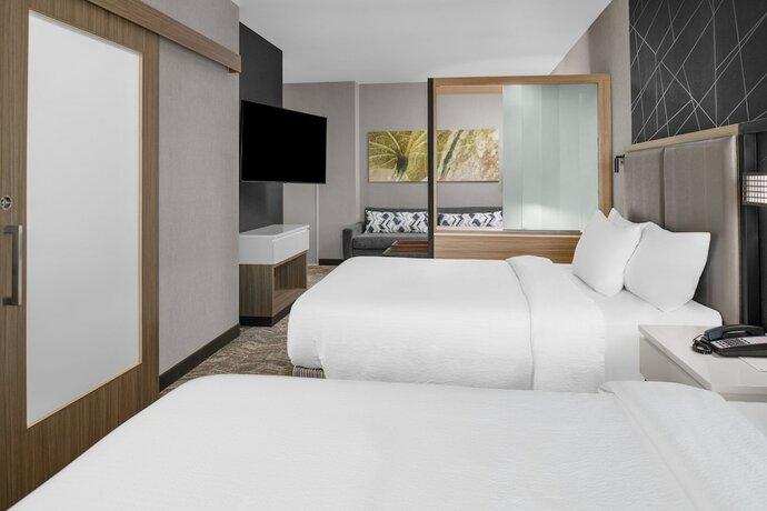 Imagen de la habitación del Hotel Springhill Suites By Marriott Riverside Redlands. Foto 17