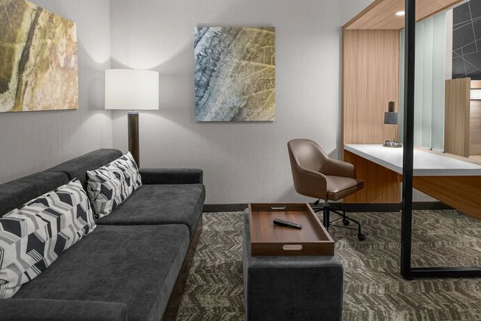 Imagen de la habitación del Hotel Springhill Suites By Marriott Riverside Redlands. Foto 18